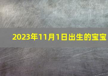 2023年11月1日出生的宝宝