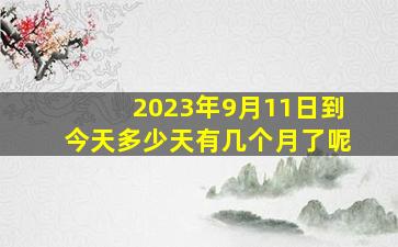 2023年9月11日到今天多少天有几个月了呢