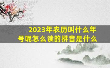 2023年农历叫什么年号呢怎么读的拼音是什么