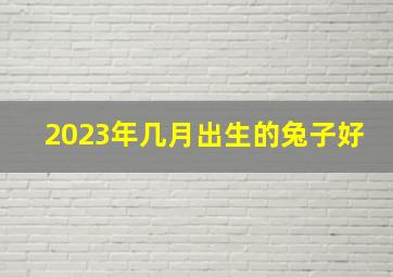 2023年几月出生的兔子好