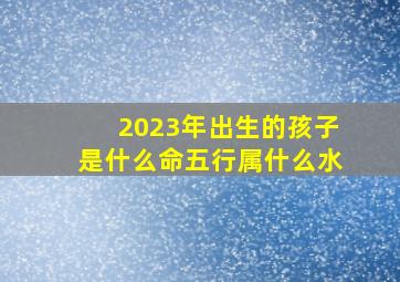 2023年出生的孩子是什么命五行属什么水