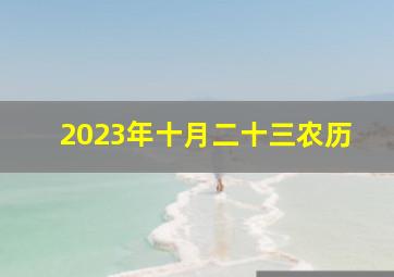 2023年十月二十三农历