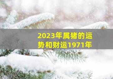 2023年属猪的运势和财运1971年