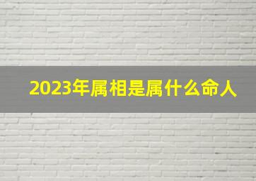 2023年属相是属什么命人