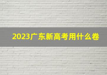 2023广东新高考用什么卷