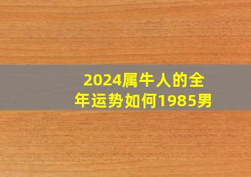 2024属牛人的全年运势如何1985男