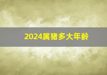 2024属猪多大年龄