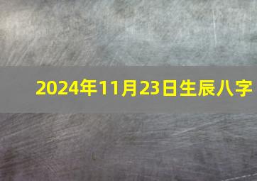 2024年11月23日生辰八字