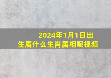 2024年1月1日出生属什么生肖属相呢视频