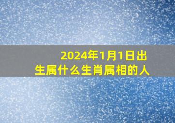 2024年1月1日出生属什么生肖属相的人