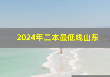 2024年二本最低线山东