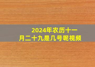 2024年农历十一月二十九是几号呢视频