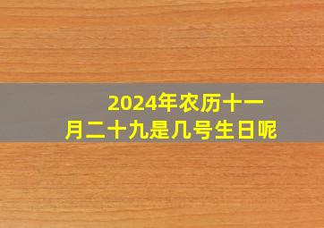 2024年农历十一月二十九是几号生日呢