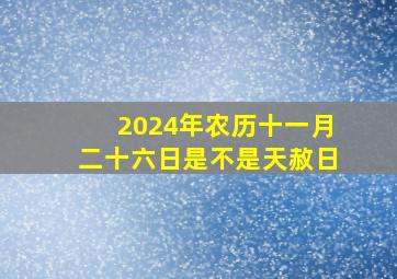 2024年农历十一月二十六日是不是天赦日