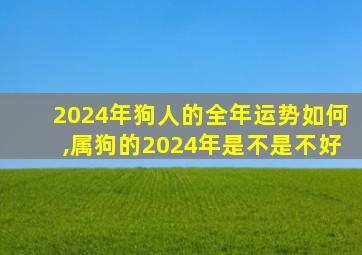 2024年狗人的全年运势如何,属狗的2024年是不是不好