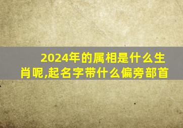 2024年的属相是什么生肖呢,起名字带什么偏旁部首