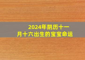 2024年阴历十一月十六出生的宝宝命运