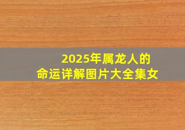 2025年属龙人的命运详解图片大全集女