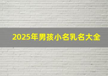 2025年男孩小名乳名大全