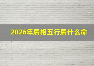 2026年属相五行属什么命