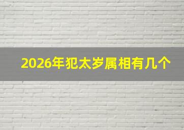 2026年犯太岁属相有几个