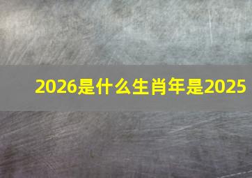 2026是什么生肖年是2025