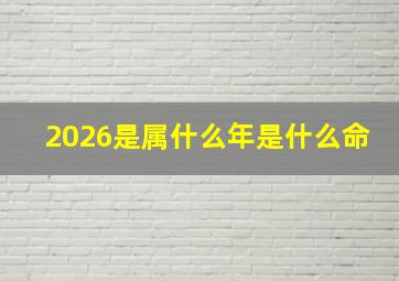 2026是属什么年是什么命