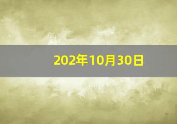 202年10月30日