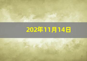 202年11月14日