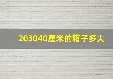 203040厘米的箱子多大