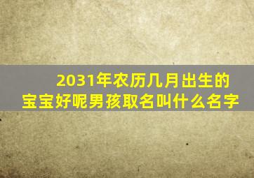 2031年农历几月出生的宝宝好呢男孩取名叫什么名字