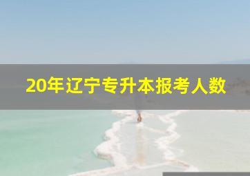 20年辽宁专升本报考人数