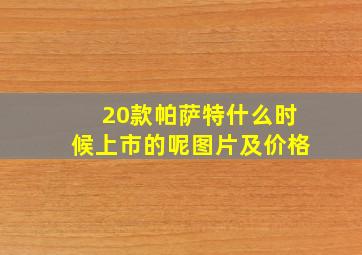 20款帕萨特什么时候上市的呢图片及价格