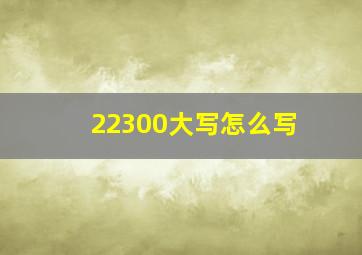 22300大写怎么写