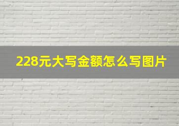 228元大写金额怎么写图片