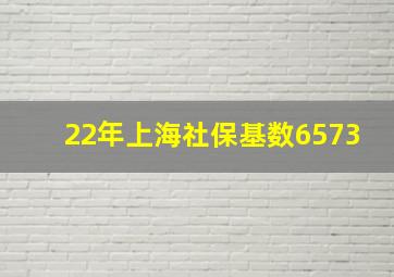 22年上海社保基数6573