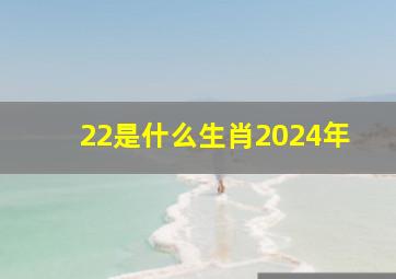 22是什么生肖2024年