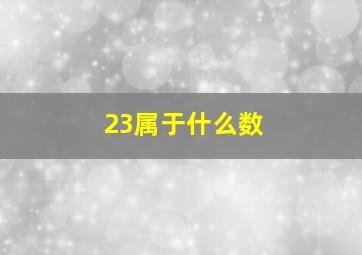 23属于什么数