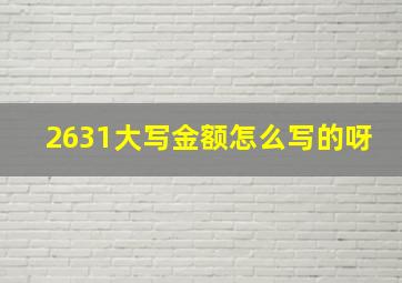 2631大写金额怎么写的呀