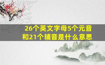 26个英文字母5个元音和21个辅音是什么意思