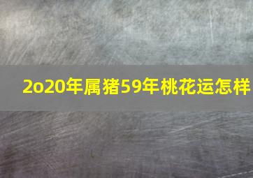 2o20年属猪59年桃花运怎样