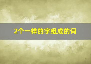 2个一样的字组成的词