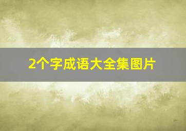 2个字成语大全集图片