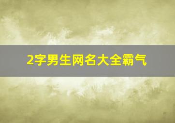 2字男生网名大全霸气