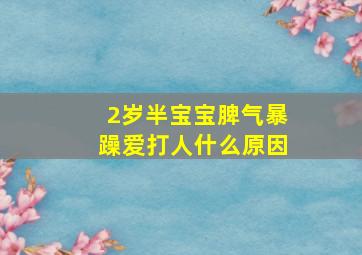 2岁半宝宝脾气暴躁爱打人什么原因