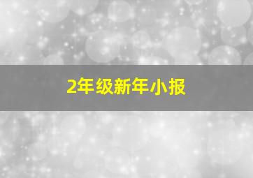 2年级新年小报