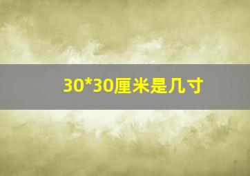 30*30厘米是几寸