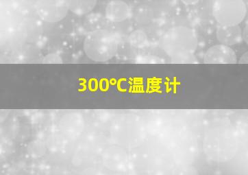 300℃温度计