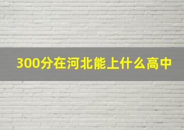 300分在河北能上什么高中