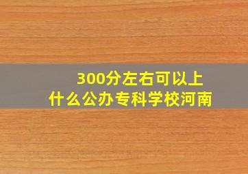 300分左右可以上什么公办专科学校河南